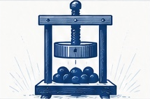 Ink illustration of berries in a press